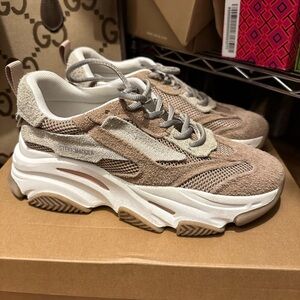 Steve Madden Beige and White suade  Sneakers